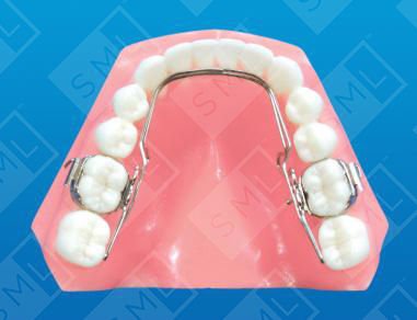 3d quad action mandibular app