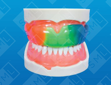 Intact Adult Mouthguard