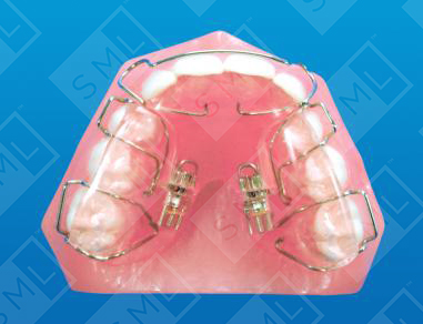 PreMaxillary Development Sagittal