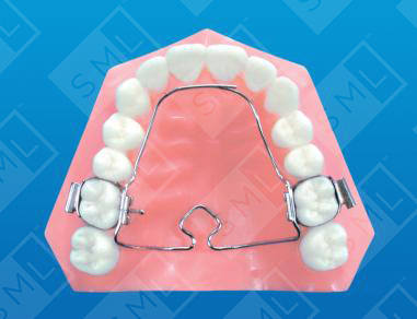 Wilson 3D MultiAction Palatal App