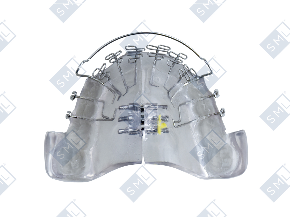 mRNA_model_Web_top