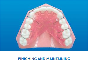 Finishing and Maintaining_0