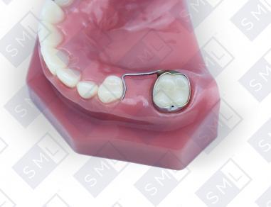 teeth