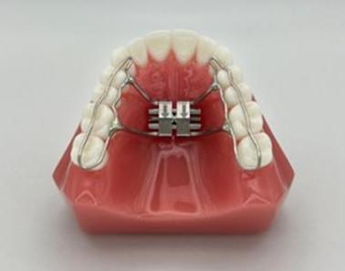 Teeth