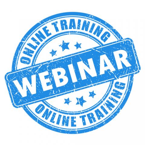 Webinar