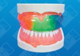 Intact Adult Mouthguard