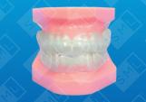Professional Boxer Mouthguard